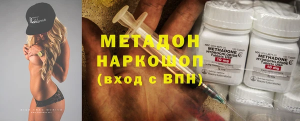 стаф Магас