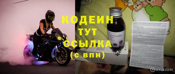 стаф Магас