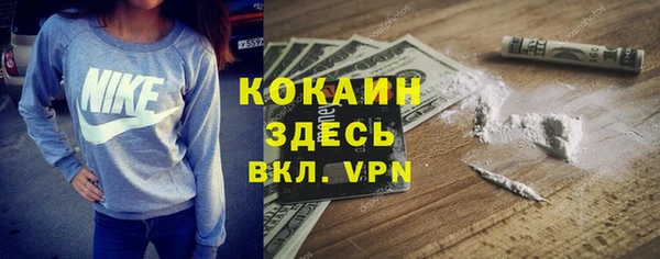 стаф Магас